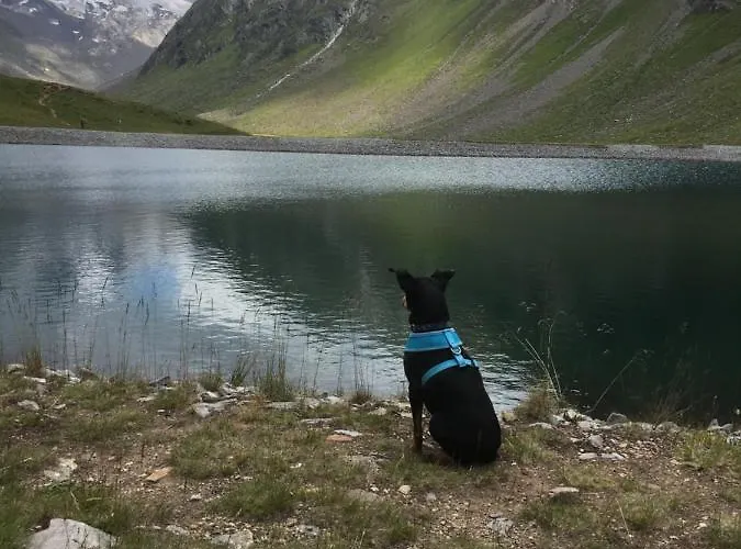 Lejlighed Oskar Sölden